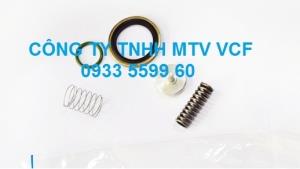 MINIMIM VALVE KIT 2901139900